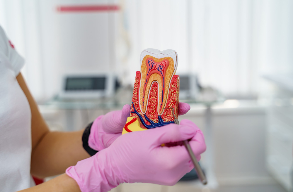 FOTOS ENDODONCIA CLINICA BAJO 3 Endodoncia en Tenerife Clínica Bajo